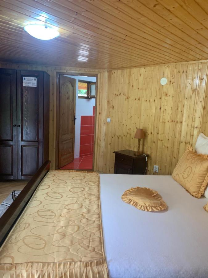 Hotel Podul Cetatii Sebesel Zewnętrze zdjęcie